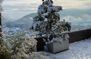 Chalet Villa Piscine vue panoramique sur Gérardmer et le Hohneck - Foto 5