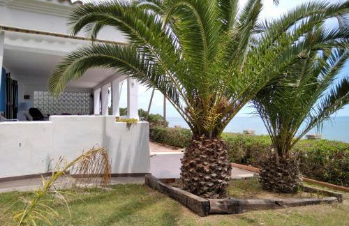 Sargantana Blava - Foto 11