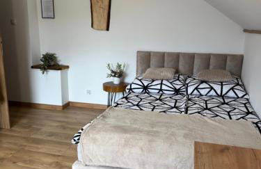 Apartament z tarasem i pokoje KLIMATYZOWANE -Drozdówka Solina - Foto 9