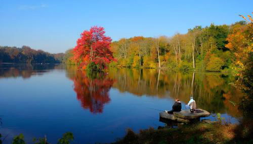 COCON zen et naturel juste à côté de Paris - Foto 5