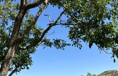 Villagio Arcadia - Photo 37