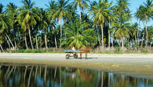 Excursão às praias de Mundaú e Flecheiras