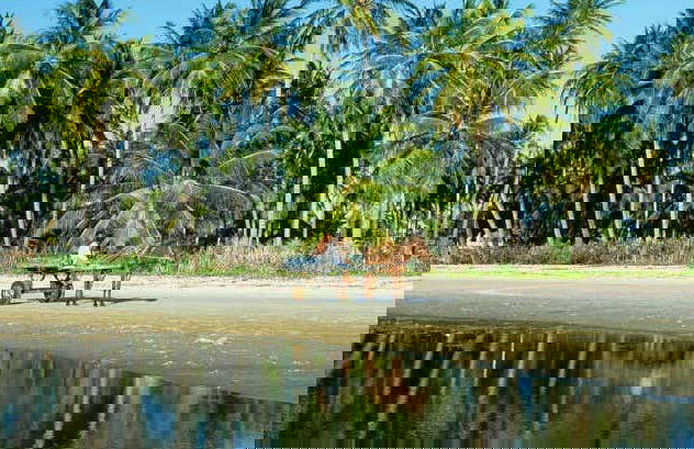 Excursion aux plages de Mundaú et Flecheiras - Photo 4