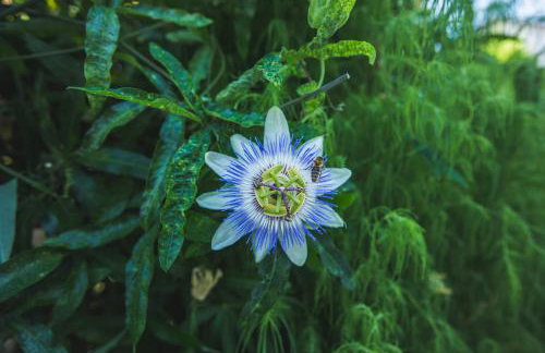 Apartments Marina - Photo 58