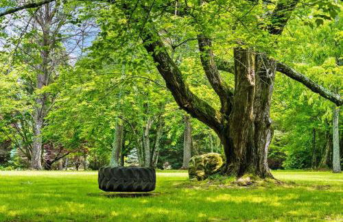 Faith Family Farmhouse on Farm in Mentone, Alabama - Foto 34