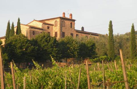 Tenuta Lupinari - Foto 76