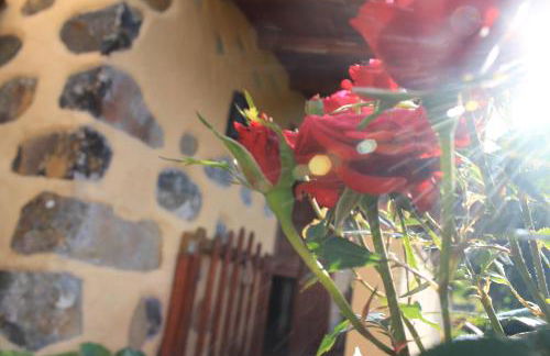 Casa Rural Las Rosas - Foto 8