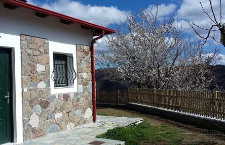 Boletus MushROOM - Foto 26