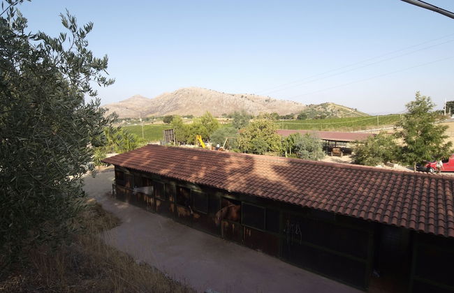 Agriturismo Al Poggetto - Photo 31