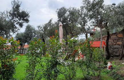 Poggio degli Ulivi - Foto 49