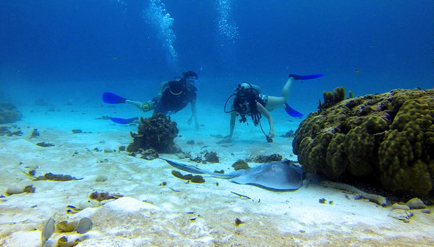 Tauchausflug - Foto 3