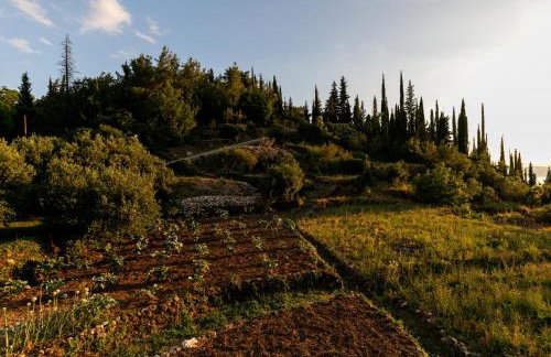 Relax Zone Apartment - Photo 12