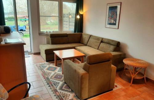 Anemone - a74326 - Foto 1