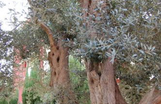 Apartamento en la playa - Foto 7