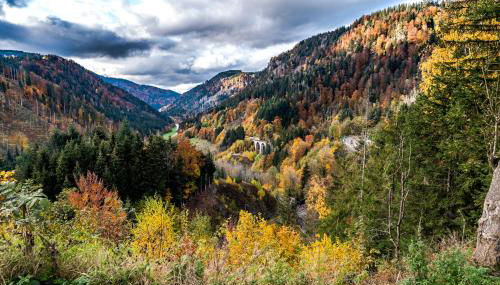 Hus im Schwefelmättle, Hinterzarten - Foto 3