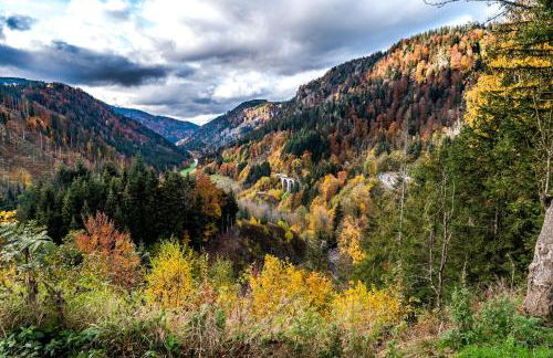 Hus im Schwefelmättle, Hinterzarten - Foto 3