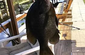 FREE BOAT to use ,Fish Camp, Water Front, Pets ok - Foto 68