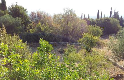 The Stone House-Zacharatos Nikolaos - Photo 5