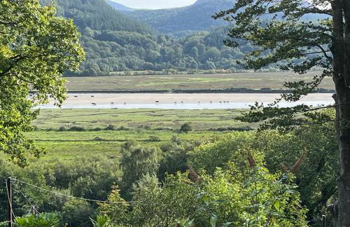 Snowdonia Mawddach escape - Foto 15