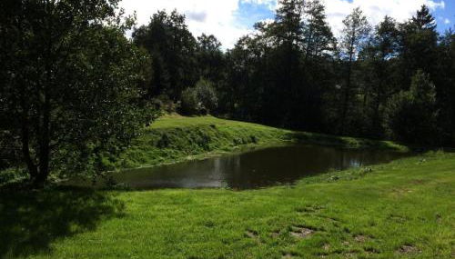 Holiday Home in Grand Est - Foto 2