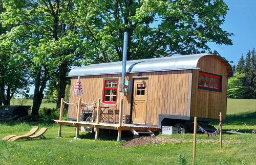 Benno der Wagen - kreativ gestaltetes Tiny House AM WALDRAND Nahezu Alleinlage Rennsteig Grünes Band NATUR PUR Hund willkommen - Foto 23
