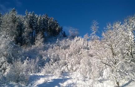 Gästehaus Bündge - Foto 25