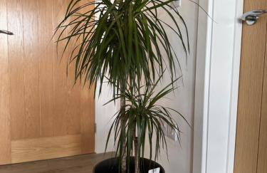 Turnpike House - Foto 33