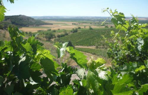 La Cantamora Hotel Rural Pesquera de Duero - Foto 27