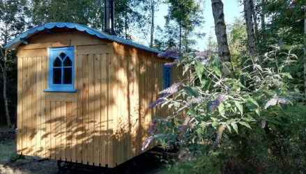 Sapphire forest garden shepherd’s hut - Foto 3, Garden view