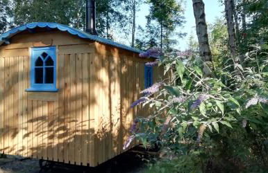 Sapphire forest garden shepherd’s hut - Foto 3