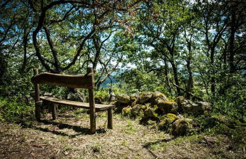 Azienda Agricola Biologica La Cardellina - Foto 57