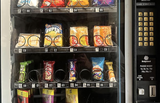 Woodlands Basic Bell Tent 2 - Foto 9