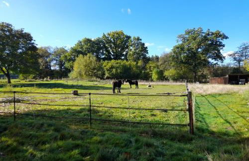 Ferienwohnung Pale - Foto 11