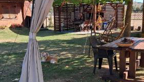 Woodhouse Xirolivado - Foto 3