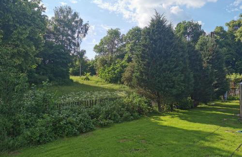 Agroturystyka Gęsiniec Stare Osieczno - Foto 43