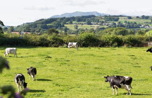 2 Bed in Yanwath SZ085 - Foto 14