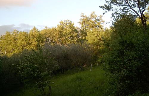 Agriturismo le Cammarose - Foto 18