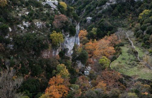 Bezeniko Amazing Arcadian Property! - Foto 18