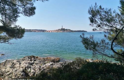 Apartment Borna - Photo 24