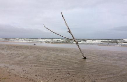 Apartamenty Pod Jesionem - Foto 8