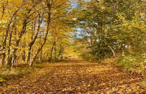 Cozy Holiday Home in Hohenkirchen near Baltic Sea - Foto 59