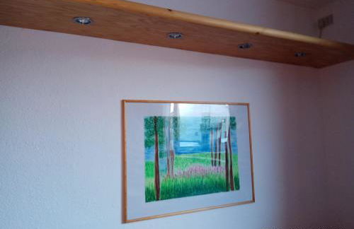 Bilocale Fronte Piste - Appartamentiflarida Sansicario Alto - Foto 7