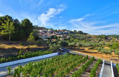 Raposa Verde - Agroturismo - Foto 7