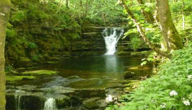 Middlehope Cottage - Foto 5