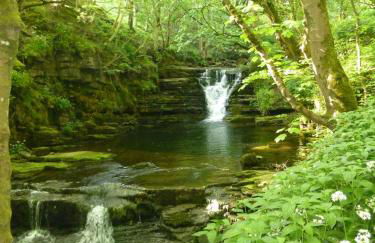 Middlehope Cottage - Photo 5