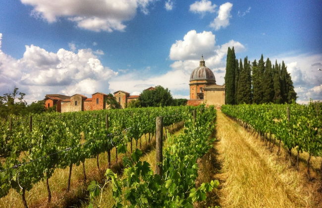 Fattoria Santa Vittoria Apartment Pagliericcio - Foto 21