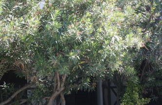 Entire Traditional Apartment at the Sea - Foto 27