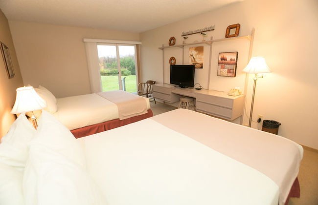 The Grey Gull - Foto 5