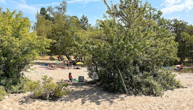 2 Person Holiday Home in Rockneby-by Traum - Foto 4, Habitación