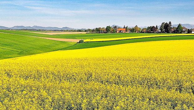 Holiday Home in LÃ¶derup - Foto 2, Miscelánea